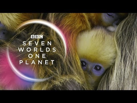 BBC Seven Worlds, One Planet - Trailer